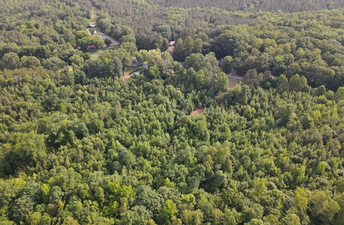 DJI_0838