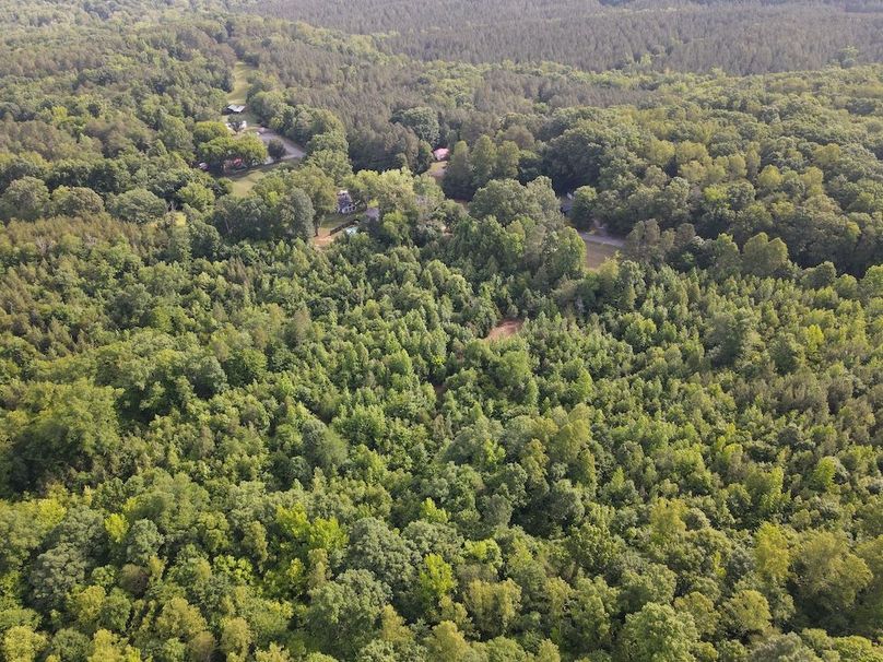 DJI_0838
