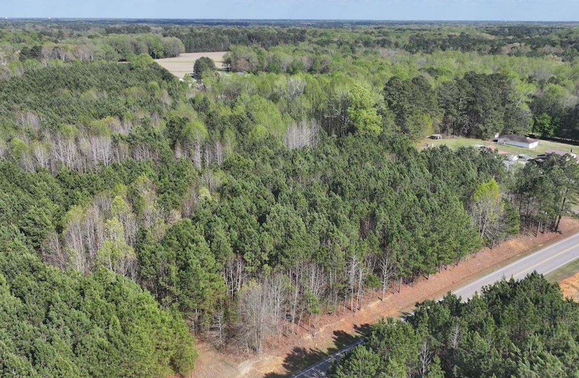 dji_fly_20260330_085336_0541_1774989416430_photo