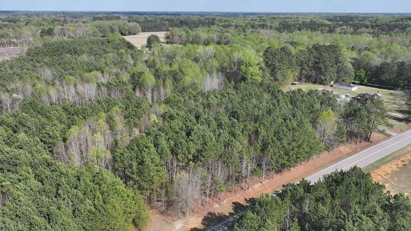 dji_fly_20260330_085336_0541_1774989416430_photo