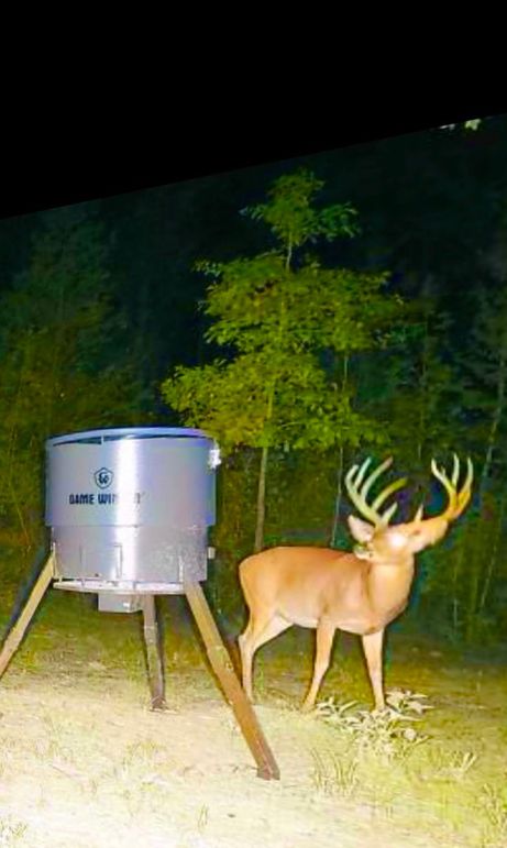 8A12220D-1393-44A0-BE15-3F4AEDCDBF64_1_201_a-2