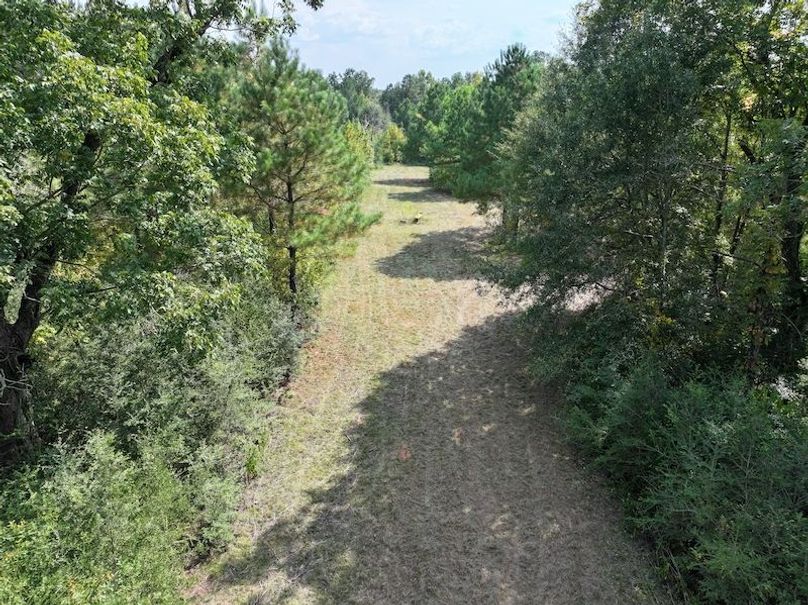 dji_fly_20250915_151716_0479_1758029009759_photo