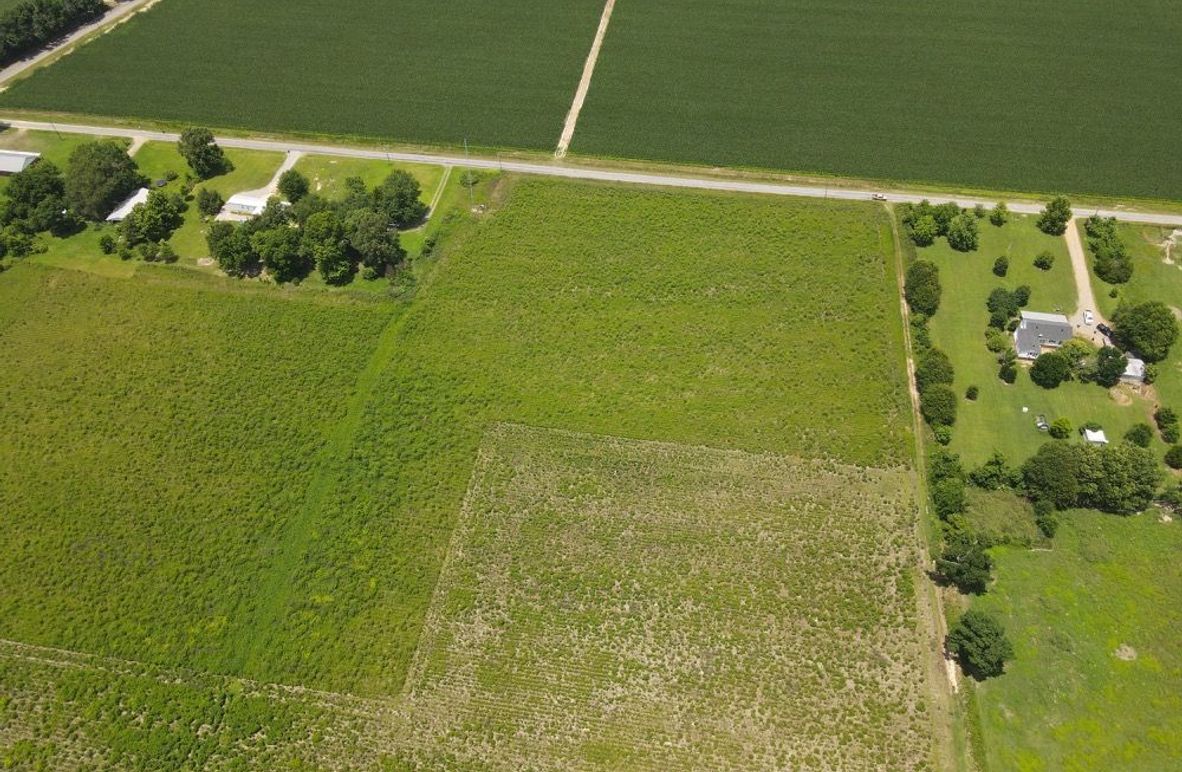 dji_fly_20250611_133950_573_1749667205220_photo 4