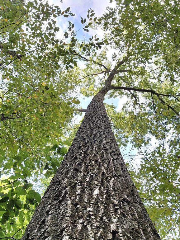 382336378_3508333409496346_7144421450612418847_n