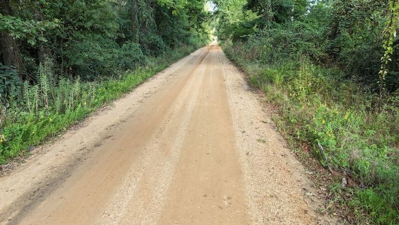 Copy of DJI_20250814085310_0058_D