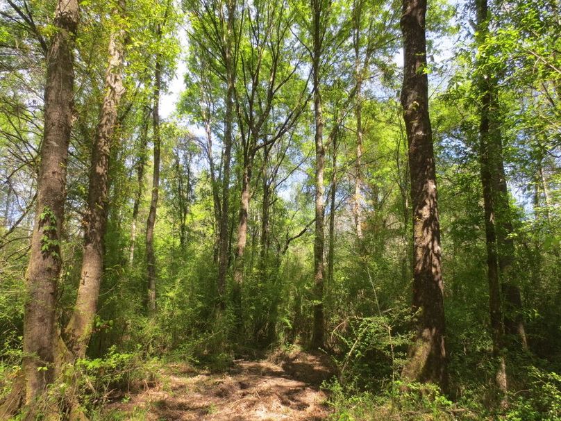 B18DB1B7-CBB0-4708-A7F0-A0C4C7AC99CA_1_105_c