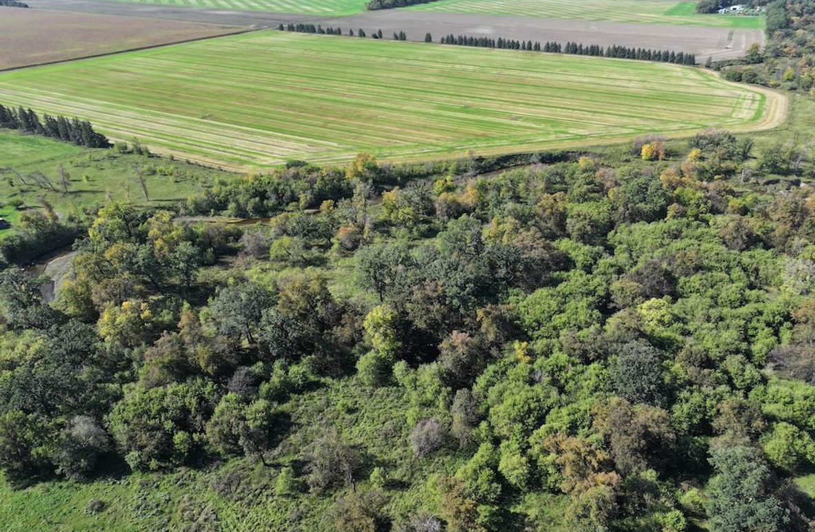 DJI_20250820160354_0803_D