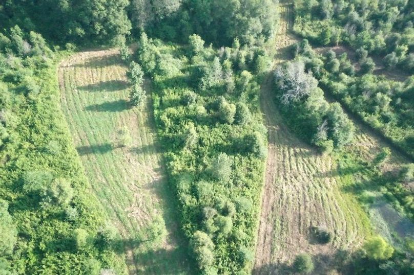 DJI_0636
