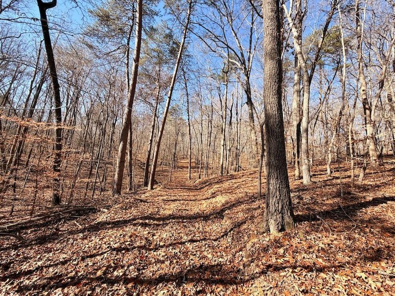 Roane Co TN 396 20251127_08