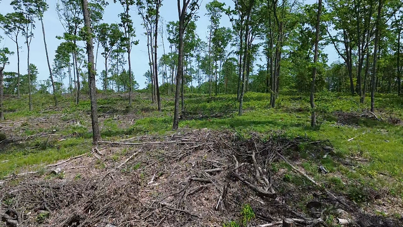 2024-05-24-12-59-19-261