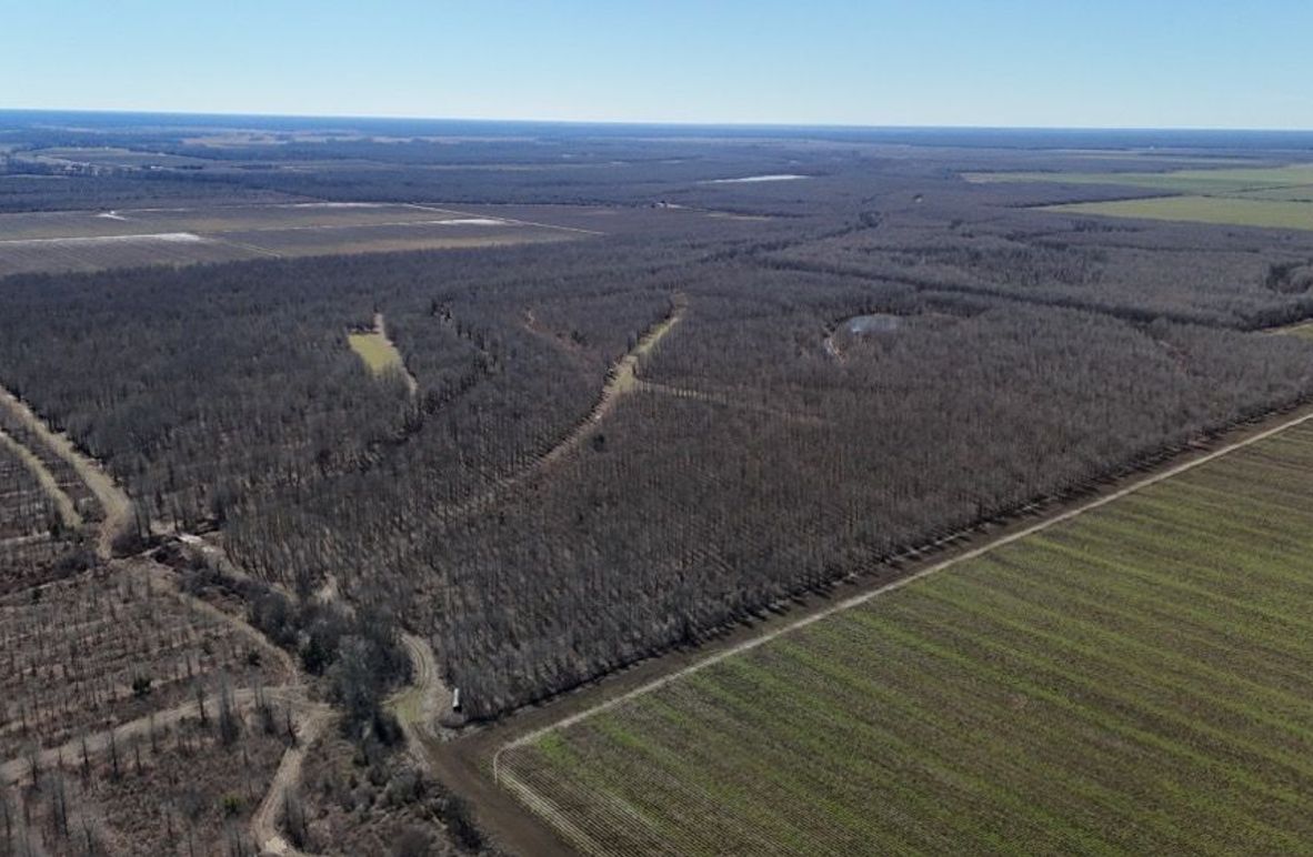 DJI_20260208030452_0975_D