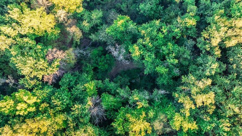 DJI_20251008050349_0009_D