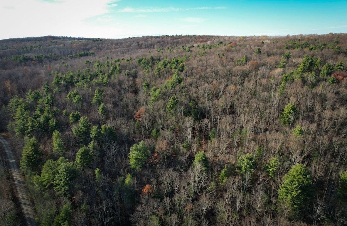 Chemung_110.6_Perry_Photos_4