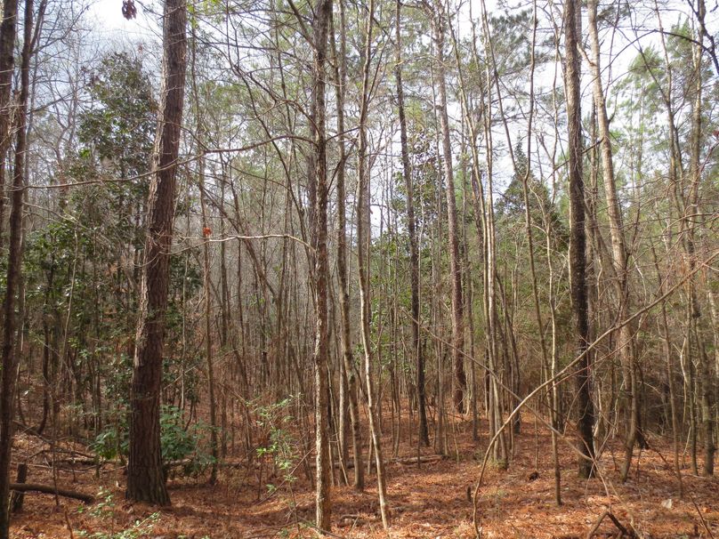 CBE914BC-27FA-4E87-BD82-AA77AFB99774