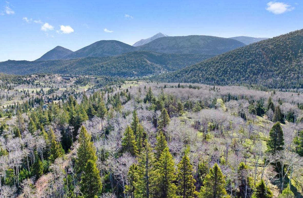 DJI_20250516081229_0041_D