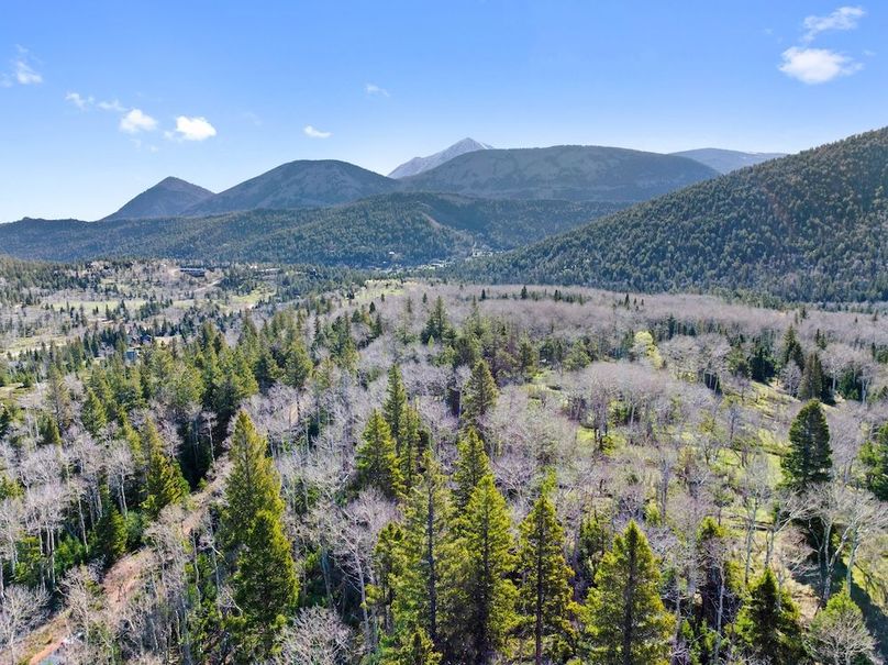 DJI_20250516081229_0041_D