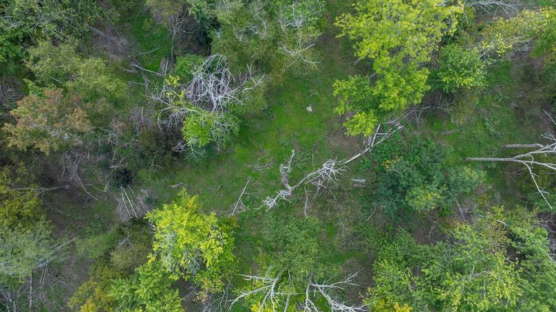 DJI_20250909194617_0026_D