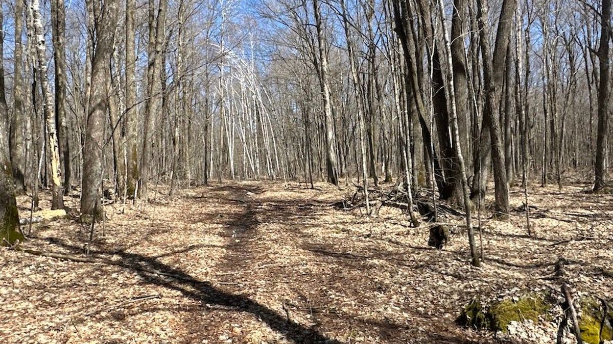 Secluded Hunting And Recreational Property In Mille Lacs County