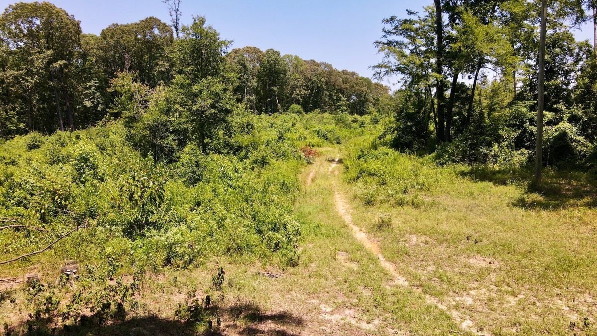 Buildable Small Rural Acreage Whitetail Properties