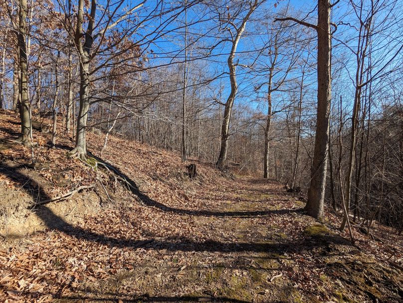 PXL_20231215_163642924