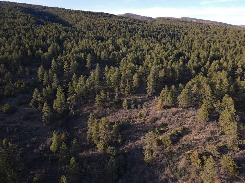 DJI_0043