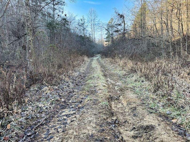 036 trail system leading to the ridgetop