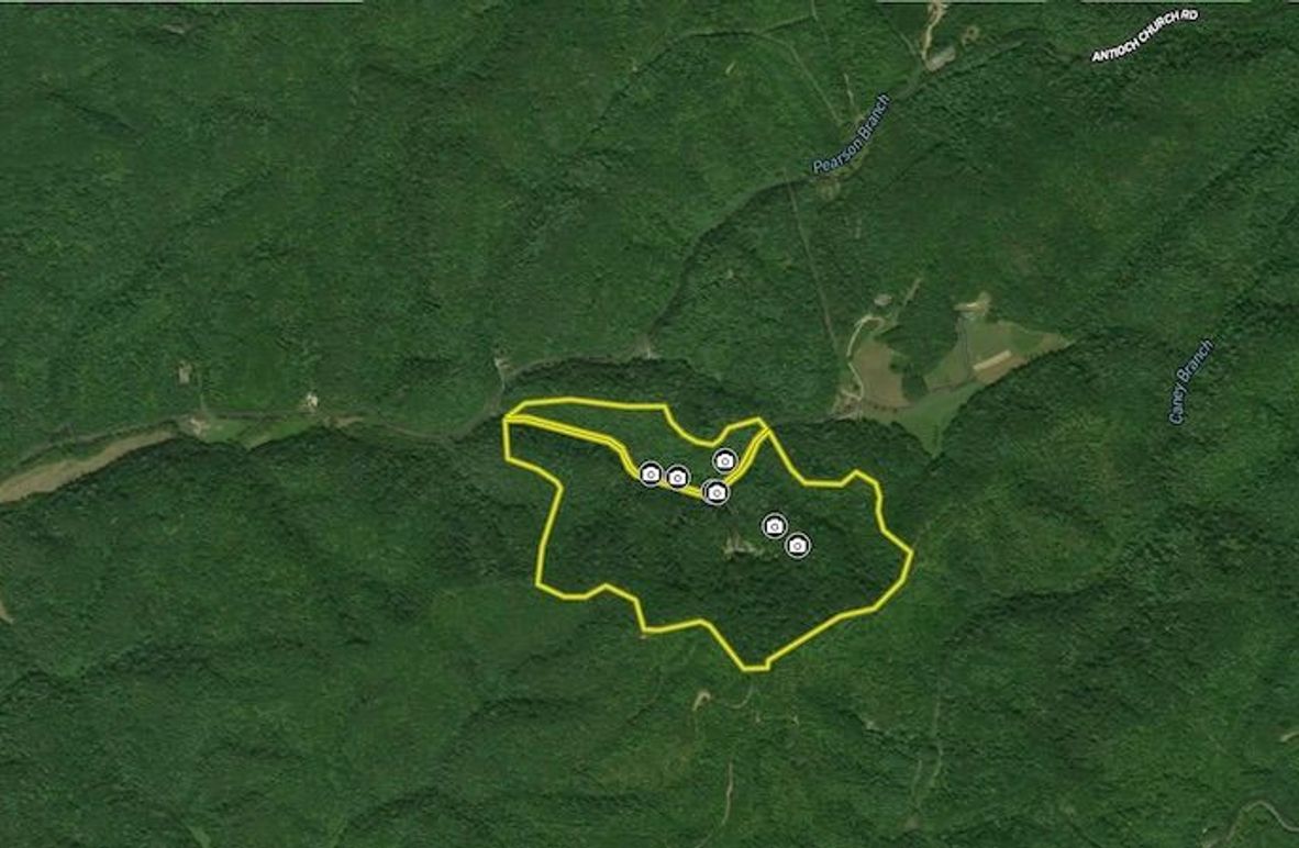 Screenshot 2024-06-15 at 11.01.28 PM