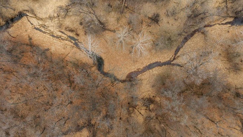 Pike IL 96.87 Adv Pro Photo-21