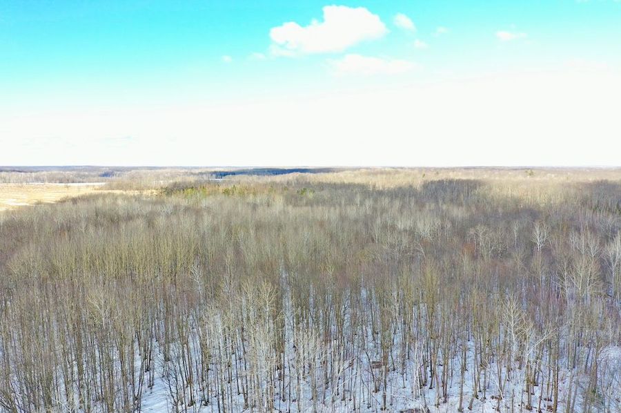DJI_0915