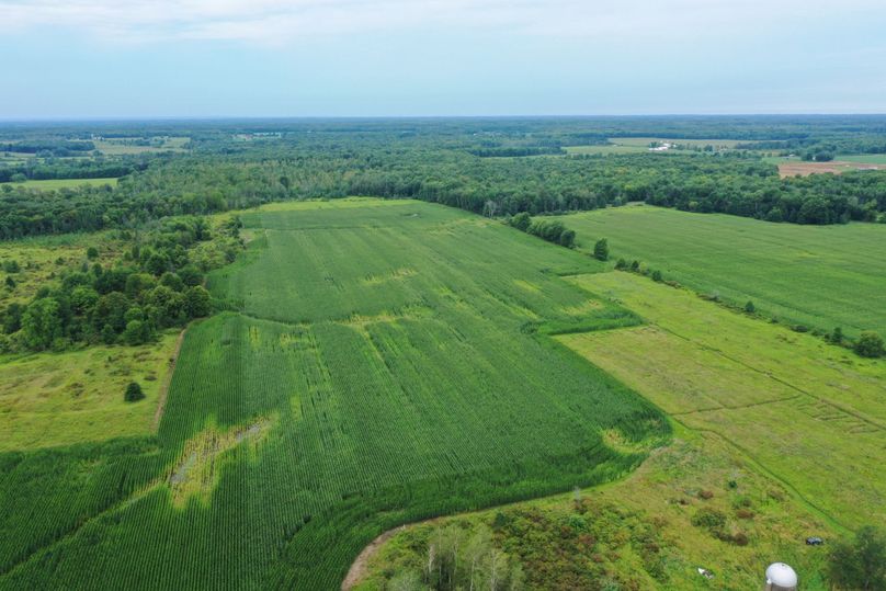 DJI_0862