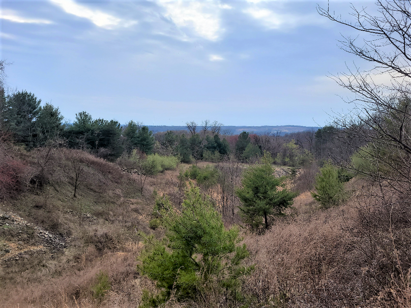 2.87ac_CokesburyRd_CECIL_PIC_005