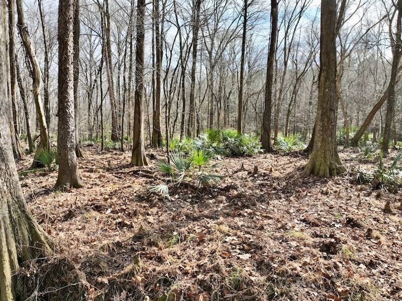 dji_fly_20260120_121840_211_1768929698101_photo