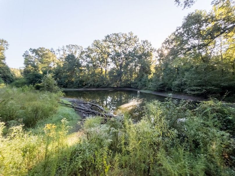 Hinds Co - 78 - Newman-41