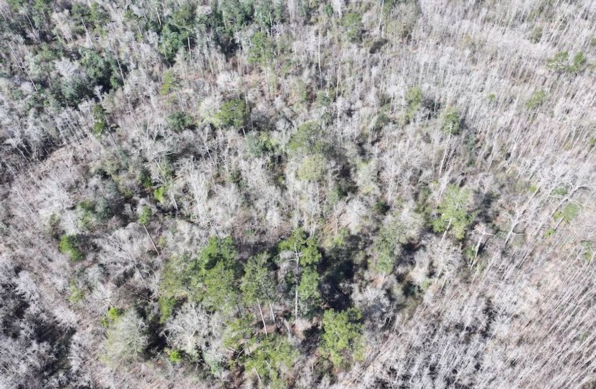 dji_fly_20260112_110148_0809_1768323792980_photo