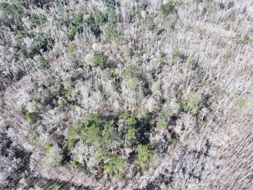 dji_fly_20260112_110148_0809_1768323792980_photo