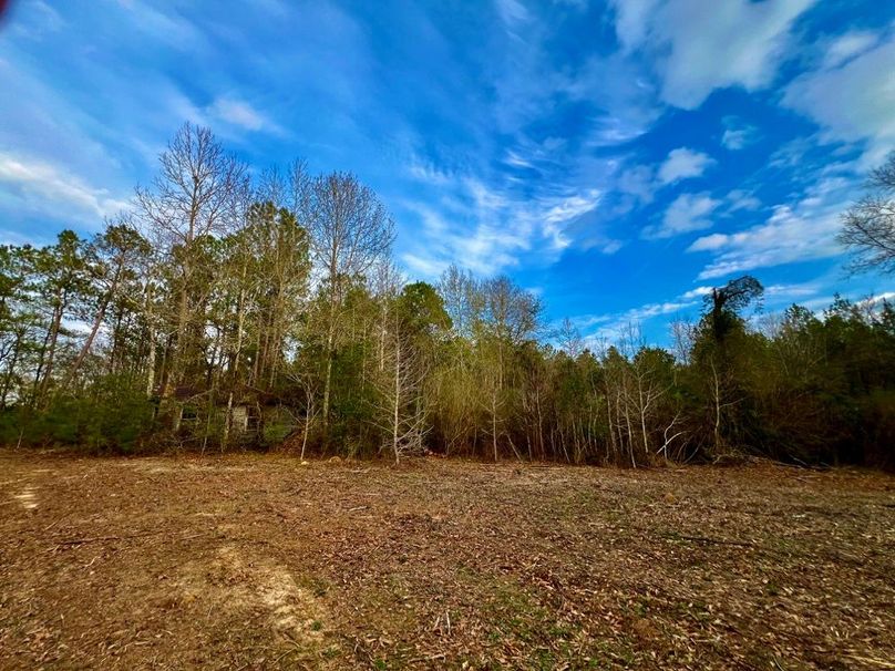 C312C760-DB86-41EF-B049-129EAC59EEAA_1_201_a