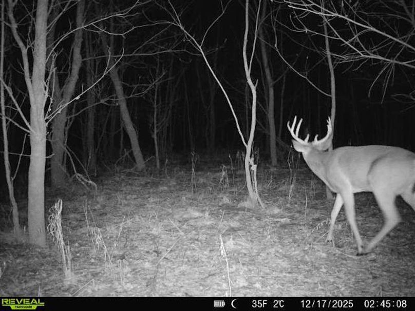 860516067589287-10-2-12172025024508-V-W1000311