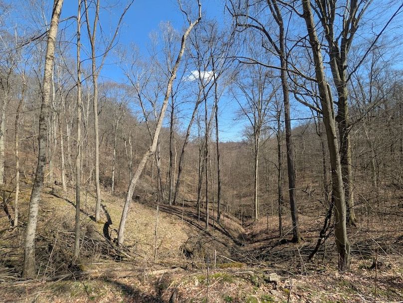 PXL_20260326_170908000