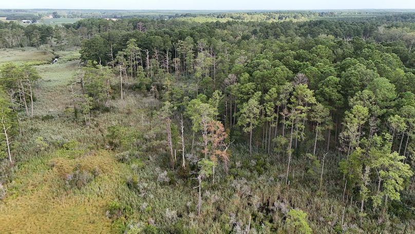 IMG11_58AC_dji_fly_20250811_084002_0015_1754945053058_photo