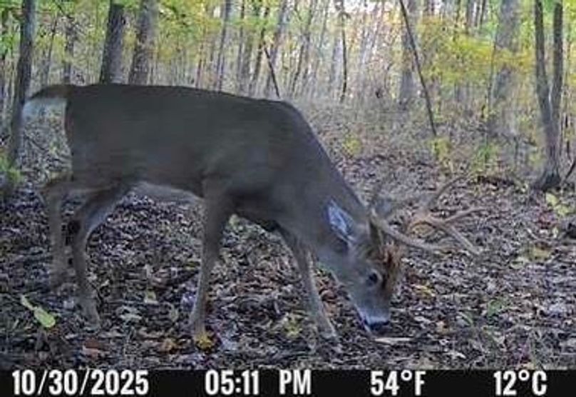 F99F7B80-B3E3-4A9E-8CF1-8FC1EAE52867_4_5005_c