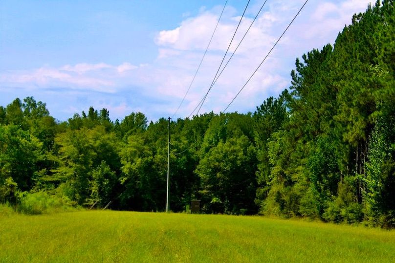 9EE8358C-52A7-44B9-A2EC-630EA58B6682_1_105_c