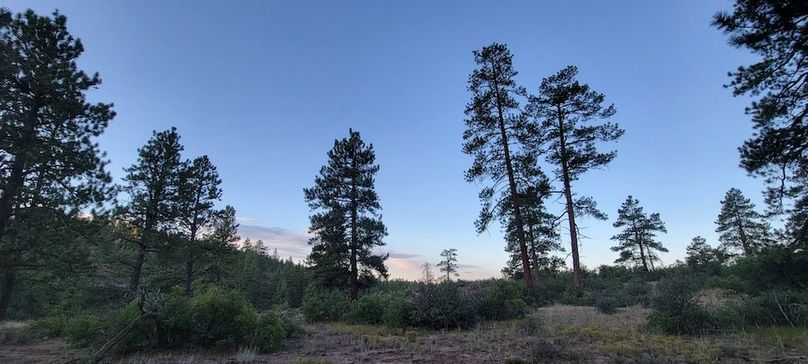 Copy of 20210827_070526 (1)