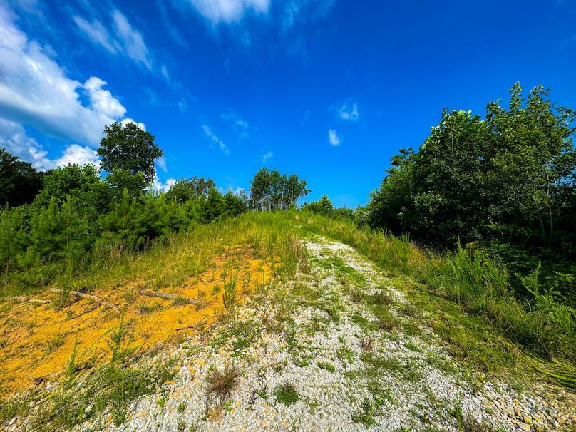 Lewis, WV 82.87 AC Barger-117