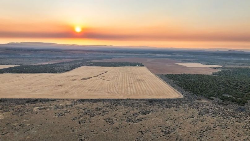 DJI_0492_1