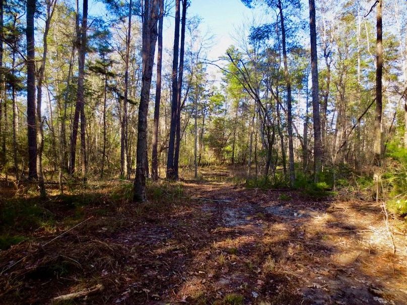 AFE9A963-9754-433C-83ED-F4F8DF5AFA65_1_105_c