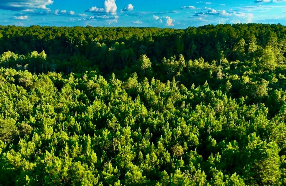 39E68C71-CE13-41EB-81D9-95C188336C88_1_105_c-2