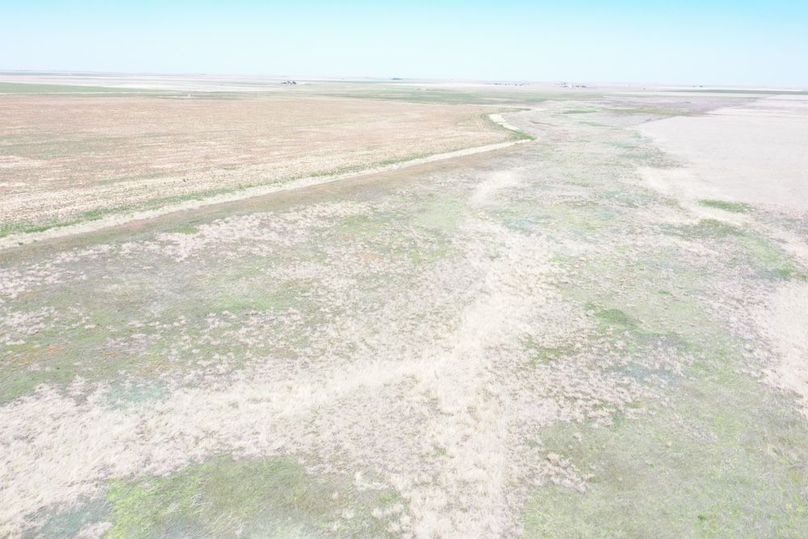 DJI_0667