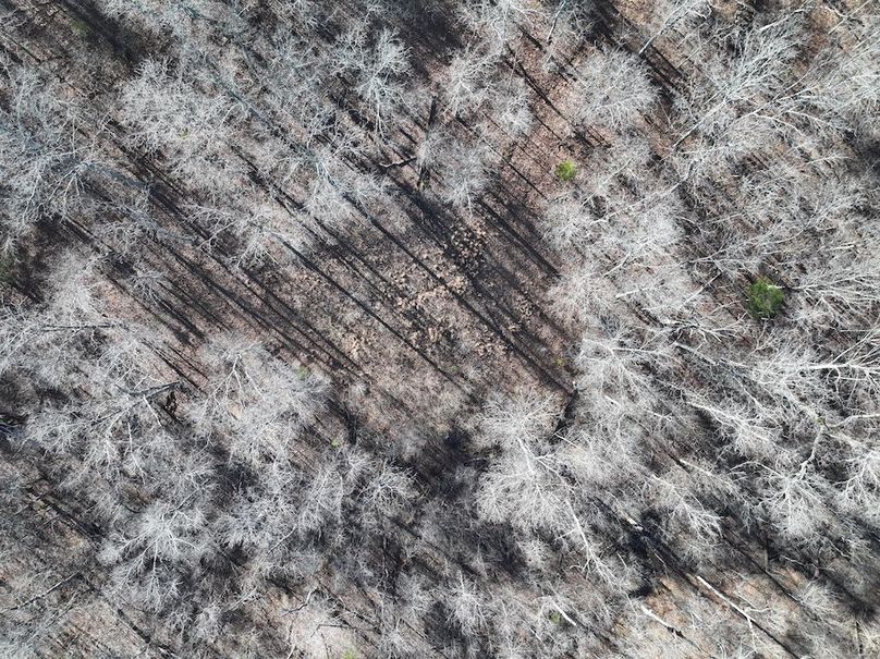 DJI_20251219114217_0900_D