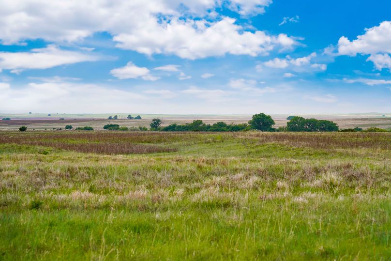 Comanche320_079 copy