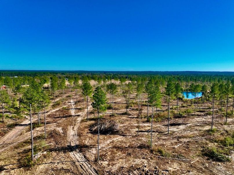 C05166B2-AF3F-4E60-8486-61CF9B614152_1_201_a